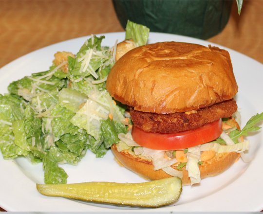 Chicken Breast Sandwich with pickles and salad